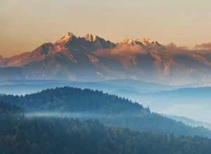 Co jeszcze warto pożyczyć na event czy inne okazje